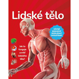 Lidské tělo