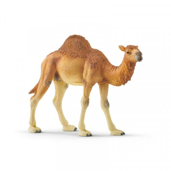 Schleich 14832 dromedár