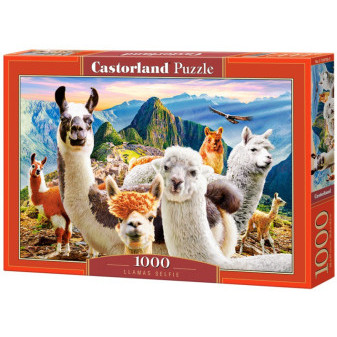 Castorland 104758 puzzle Lamy 1000 dílků
