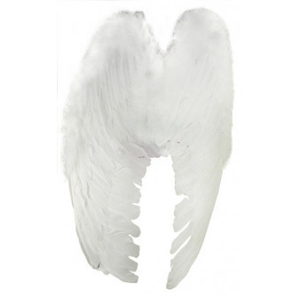 Křídla andělská menší z peří 50 cm