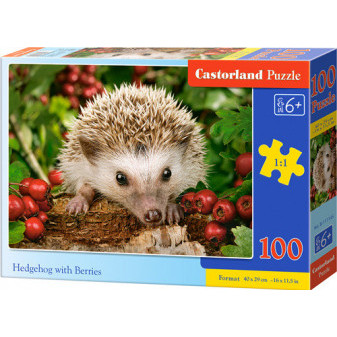 Castorland 111145 Puzzle Castorland 100 dílků premium - Ježek s ovocem