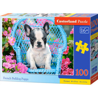 Castorland 111152 Puzzle Castorland 100 dílků premium - Štěně Francouzského buldočka