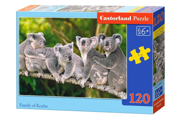 Castorland 13289 puzzle Koaly 120 dílků