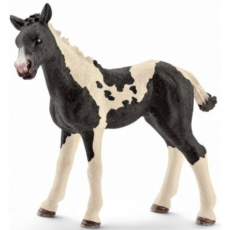 Schleich 13803 hříbě Pinto