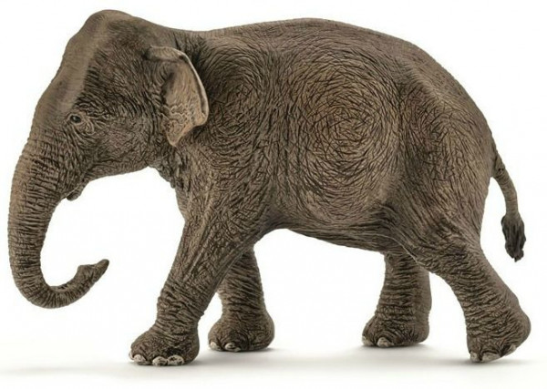 Schleich 14753 slon asijský samice