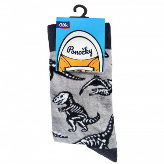 Albi Barevné ponožky - Dinosauři - BPO