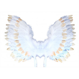 Andělská křídla s peřím, bílo-zlatá