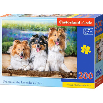 Castorland 222117 Puzzle Castorland 200 dílků premium - Kolie v Levandulové zahradě
