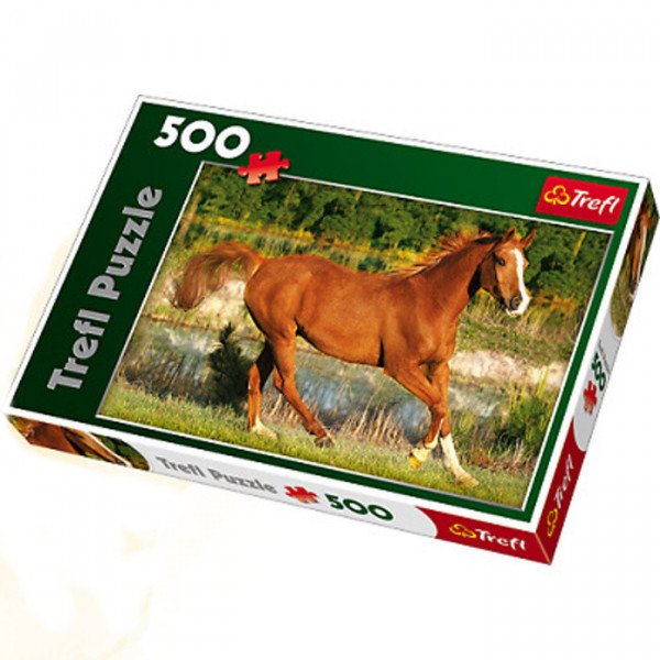 Trefl 137184 Kůň 500 dílků