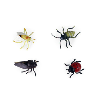 Insekt hmyz v sáčku 4 ks