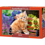 Castorland 52240 Puzzle 500 dílků - Kotě na lavičce