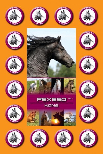 Pexeso koně hra