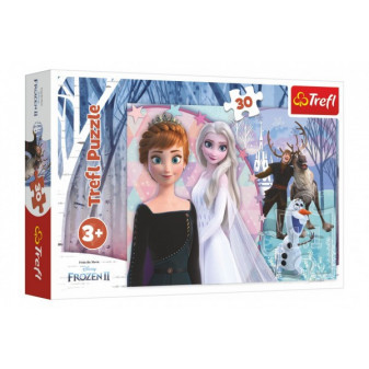 Trefl Puzzle Ledové království II/Frozen II 30 dílků 27x20cm