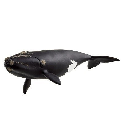 Schleich 14878 - Velryba severoatlantická